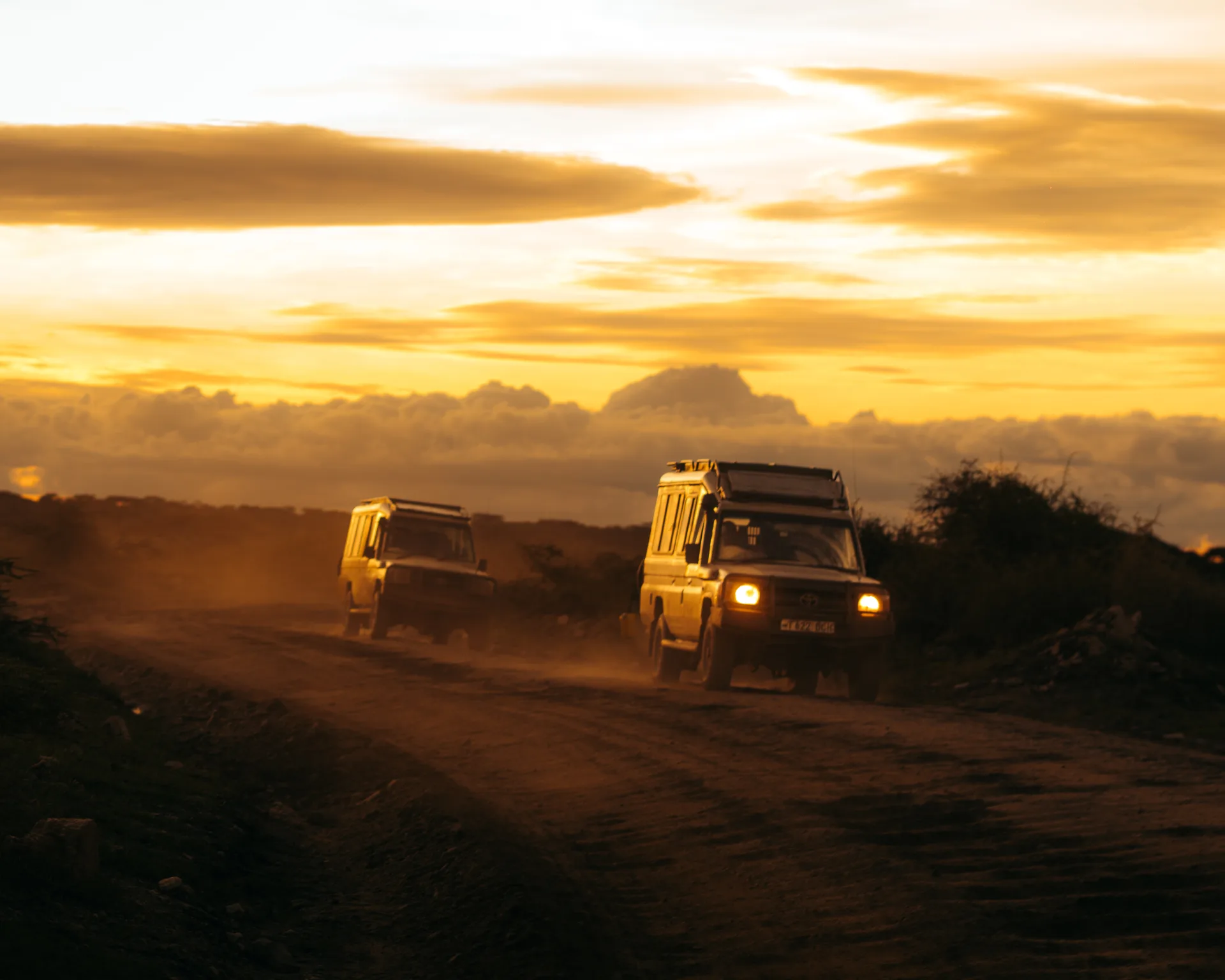 Ngorongoro Crater Day Trip