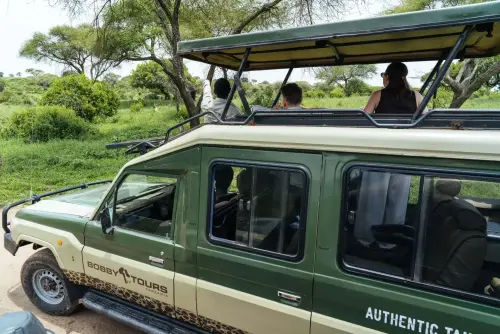 4-Day Budget Safari