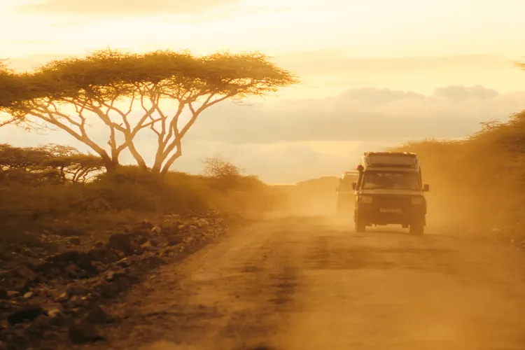 Safari Land Cruiser driving past an acacia tree at golden hour in the Serengeti — Safaris Tanzania private game drive